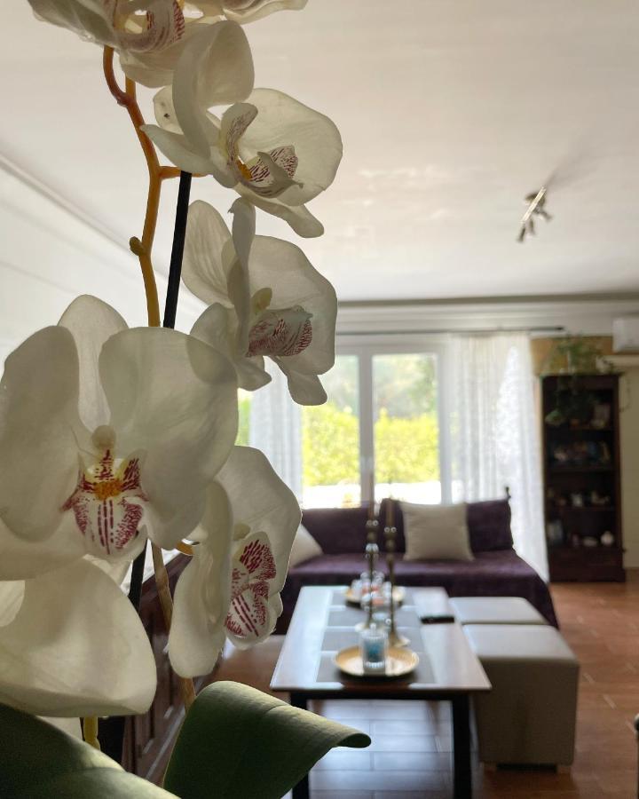 Villa Anasandra - 3 Bedroom Villa Kompítsion Esterno foto